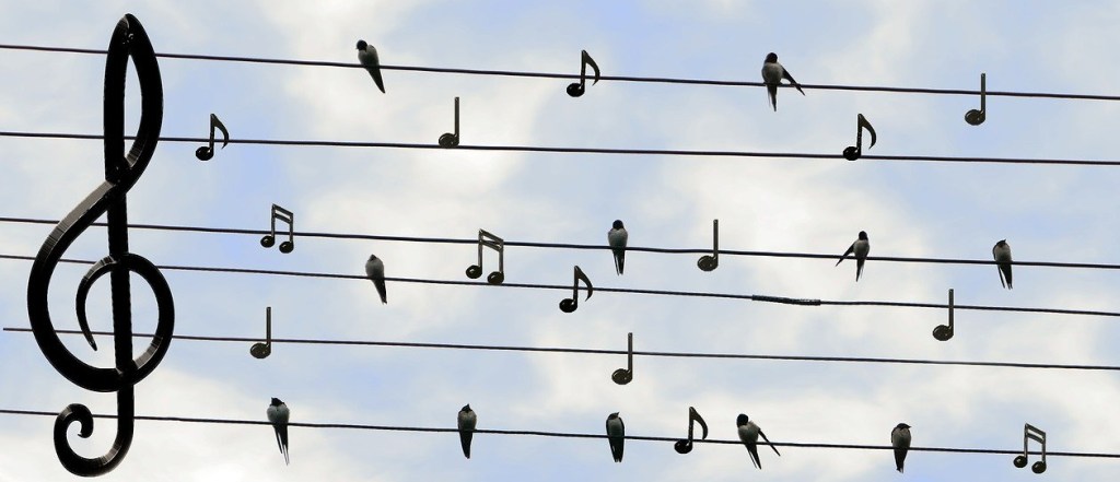 #Musiktheorie: Die einfache&nbsp;Kadenz