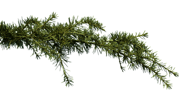 #Music-Snippet: Durchlässigkeit