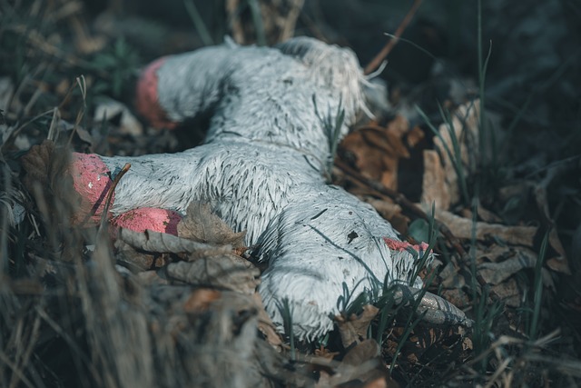 Aus gegebenem Anlass